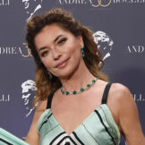  Shania Twain 