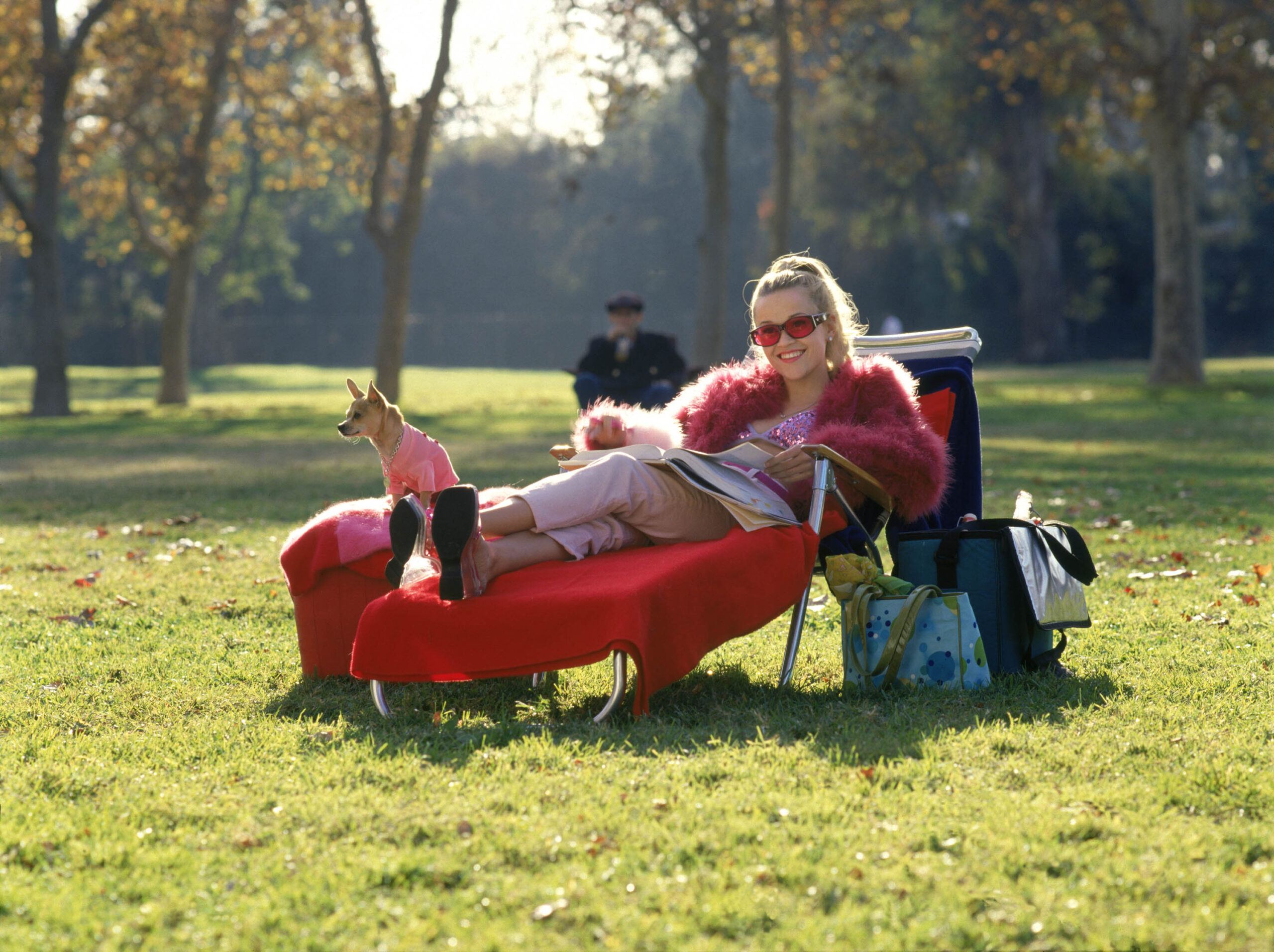 Legally Blonde’ screenwriters discuss legal precedent, ‘bend & snap’