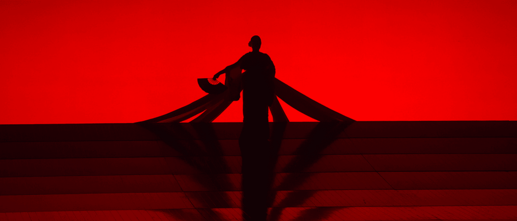 Madama Butterfly Fly - Opera Performance